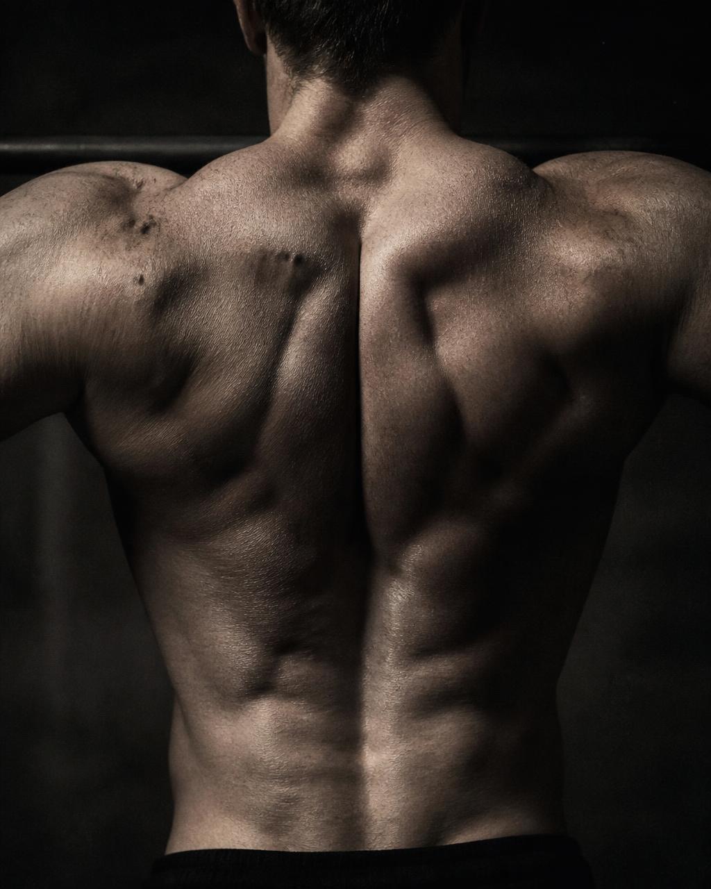 Back and shoulders under tension during a static hold